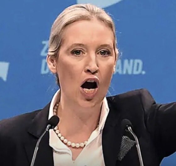 Peter Miltenburg tweet media