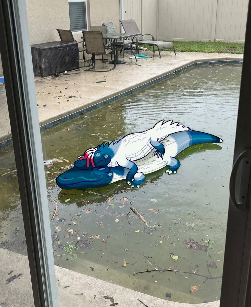 ˚ ✦ . . ˚ . . ✦ ˚ . ★⋆. ࿐࿔ tweet media