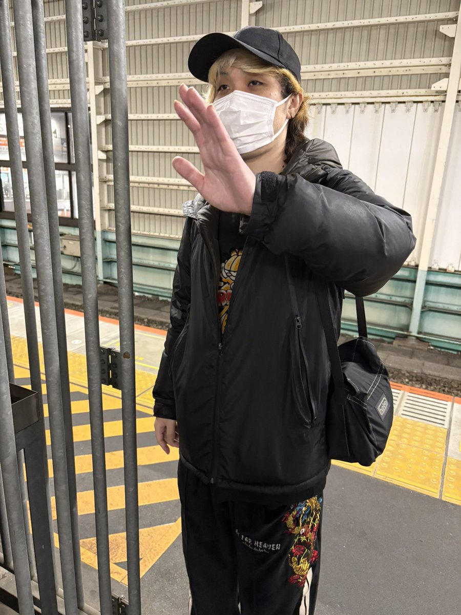 鳩 tweet media