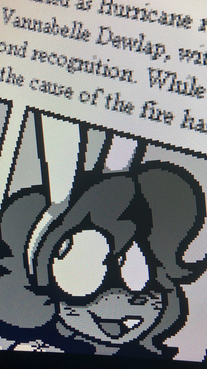 The Original Deerwalker tweet media