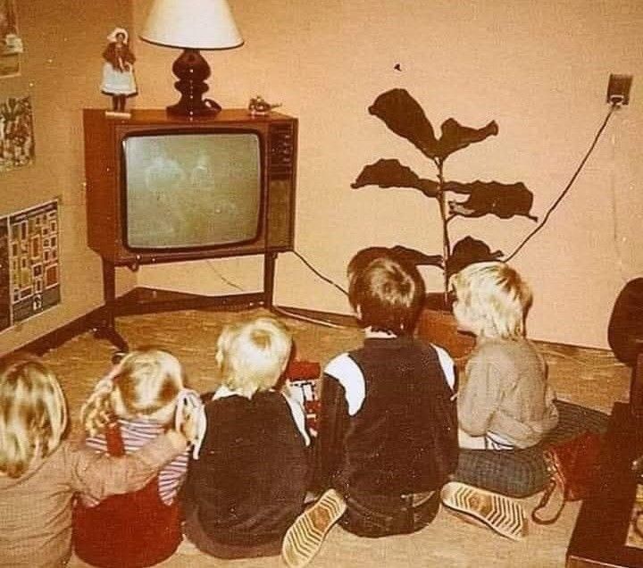 ♦️𝑨𝒍𝒊𝒆𝒍♦️ tweet media