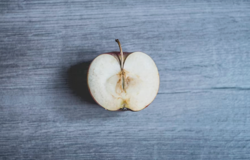 Donna Fluss tweet media