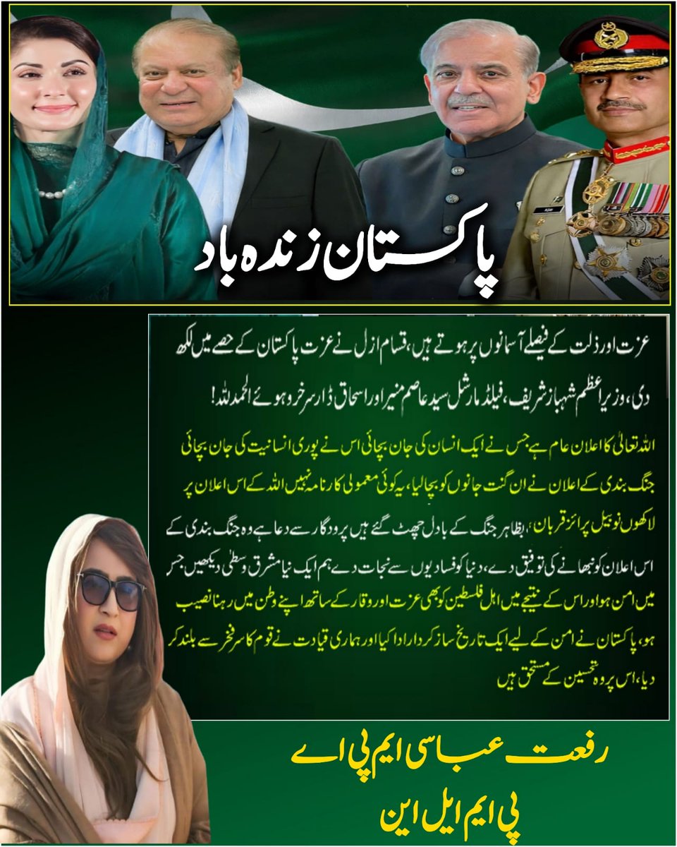 Riffat ABBASI pmln tweet media