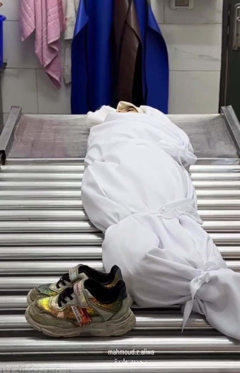 PalestineMoE's tweet image. 🔴 In yet another crime that reflects the systematic targeting of Palestinian children &amp;amp; schools, the #IsraeliOccupation forces murdered today the child Ritaj Abdul Raouf Reyhan, a 3rd-grade #student at Abu Ubaida ibn al-Jarrah School inside the tent that served as her classroom.