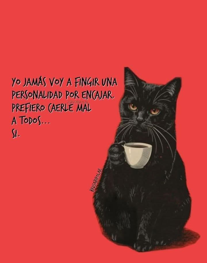 Grethel Galvan tweet media