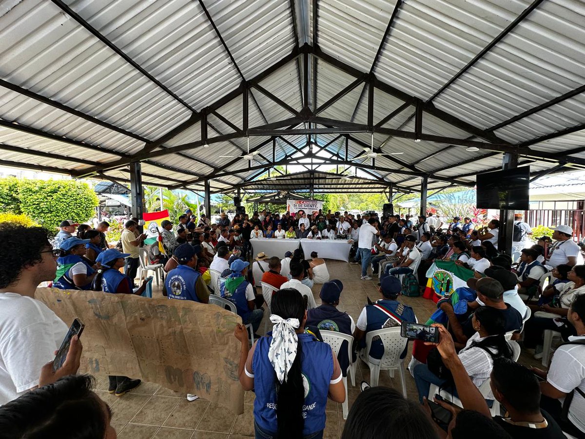 Sandra Chindoy tweet media