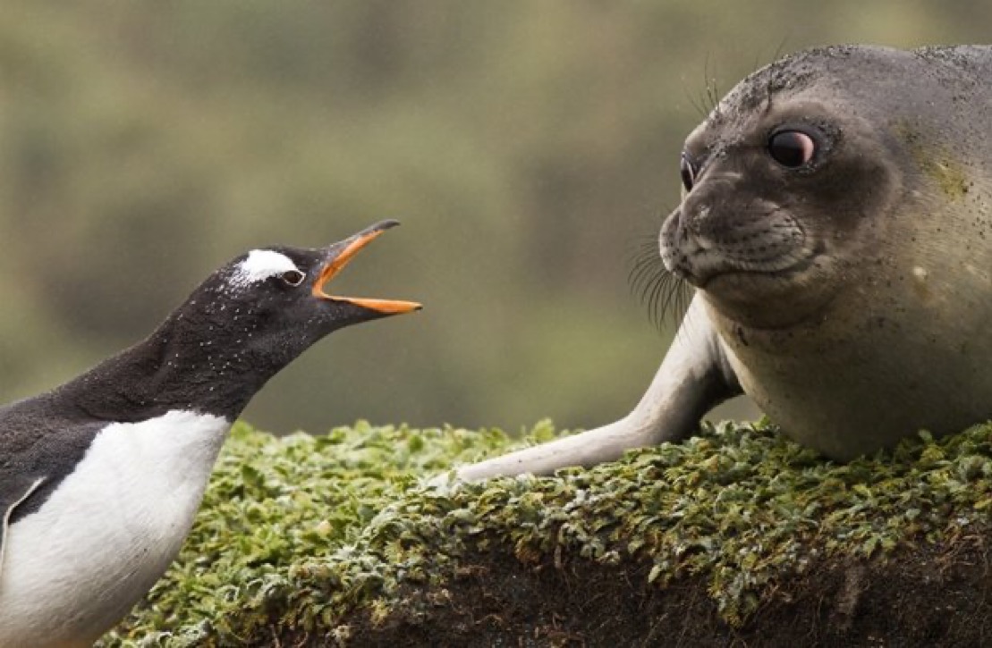 Club Lottie💫 tweet media