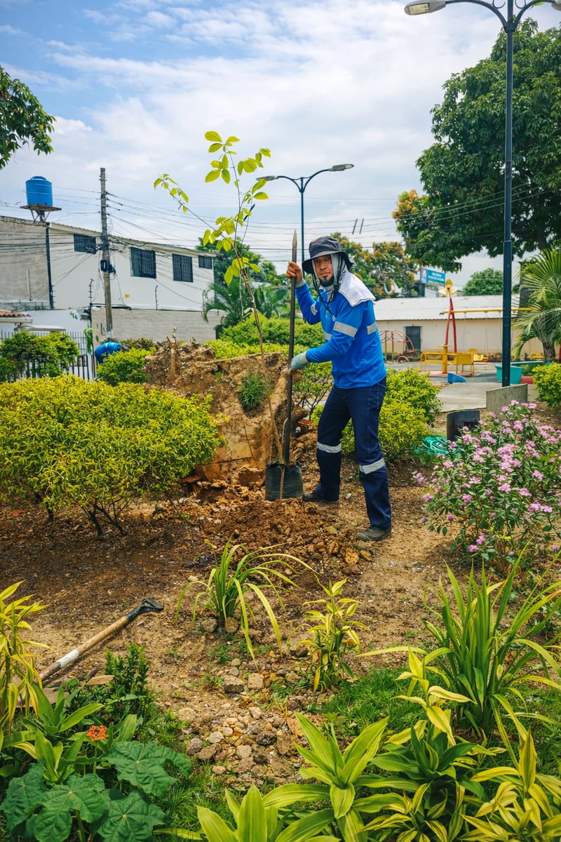 Parques EP tweet media