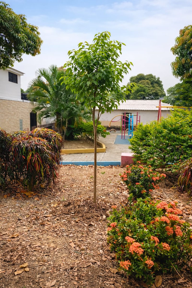 Parques EP tweet media