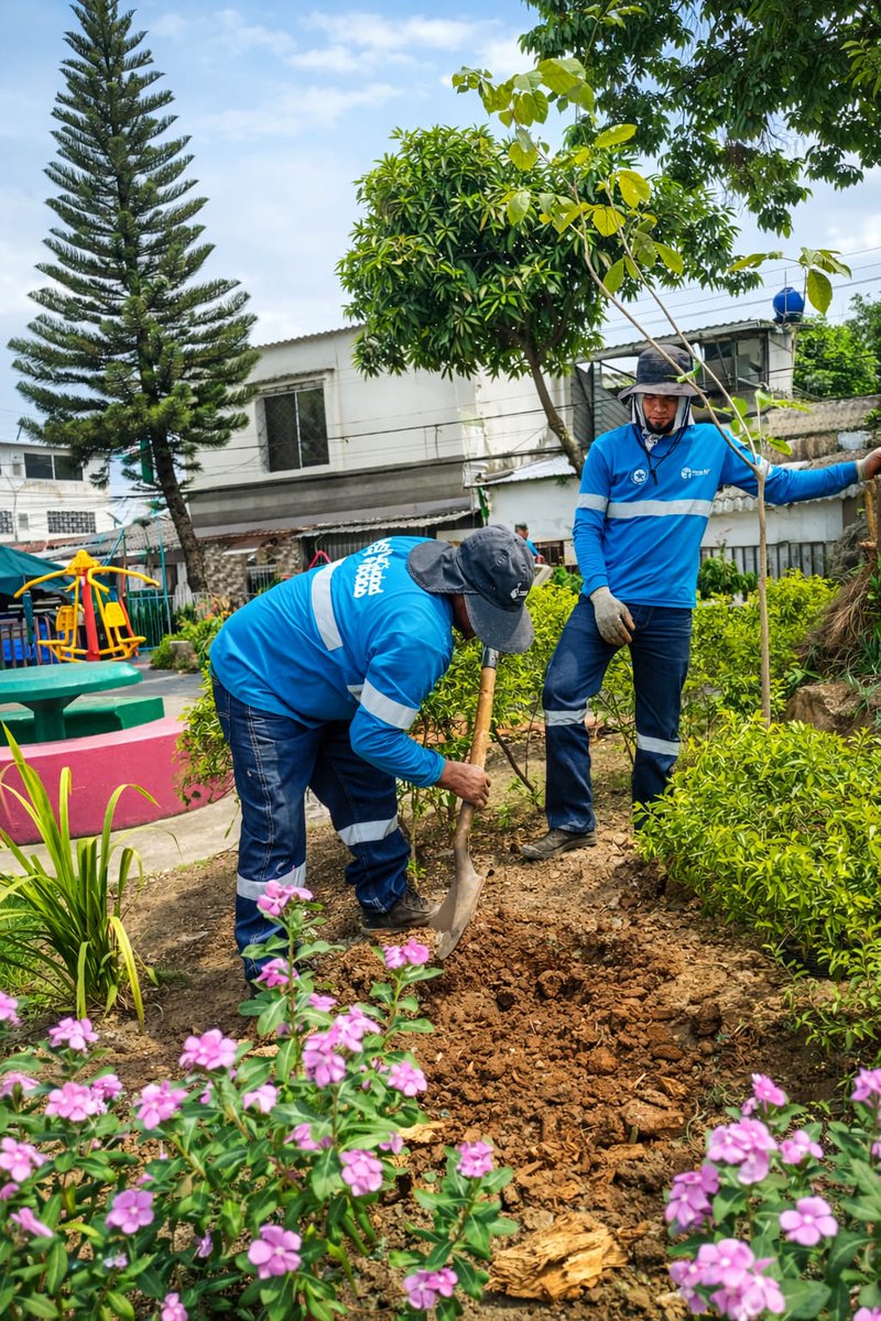 Parques EP tweet media