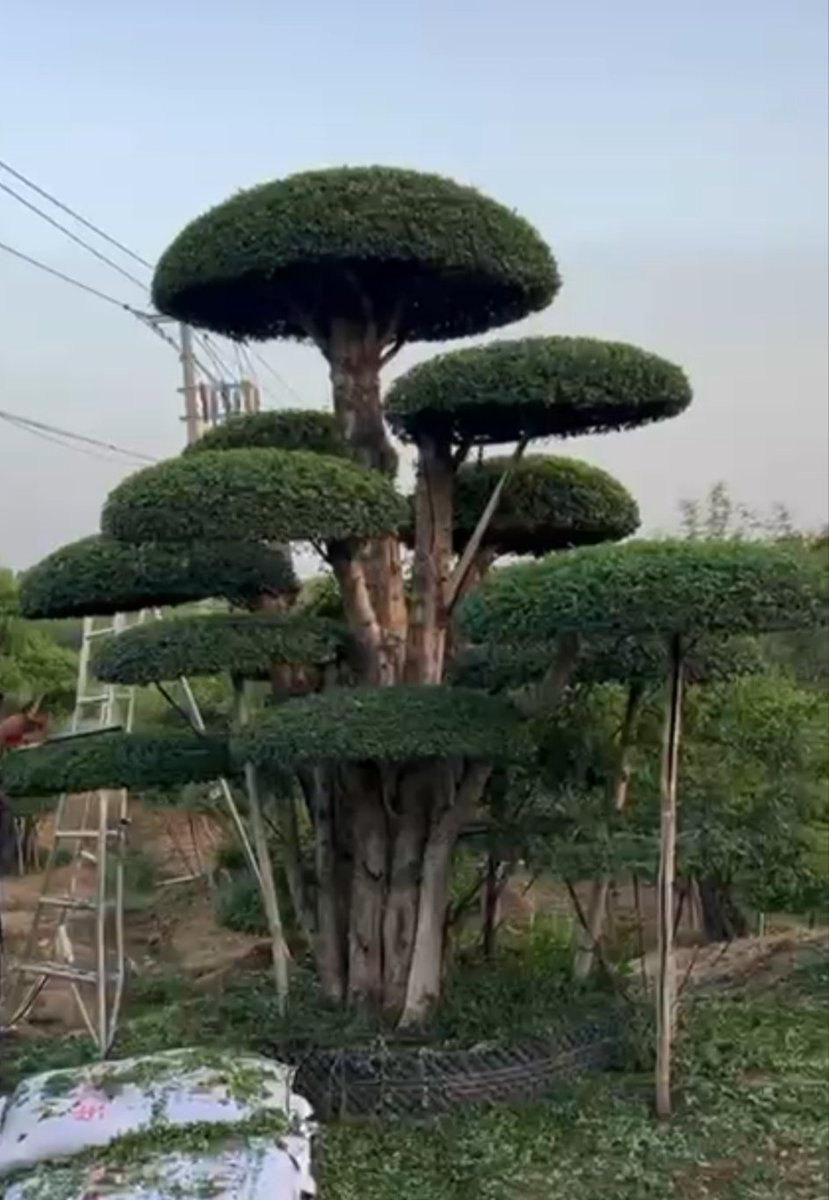 ♠️♡مهاب♡♠️ tweet media