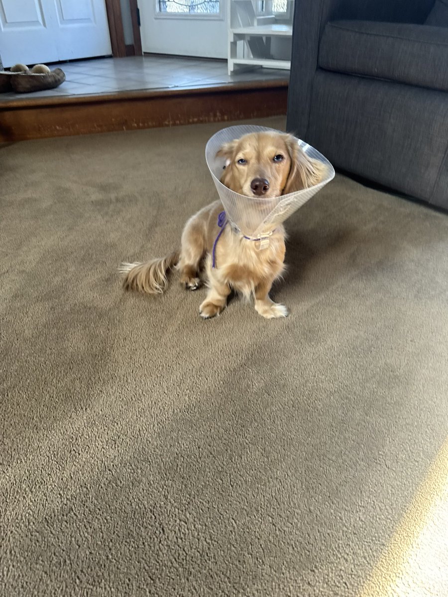 Devan Rae Enright | UGC Creator tweet media