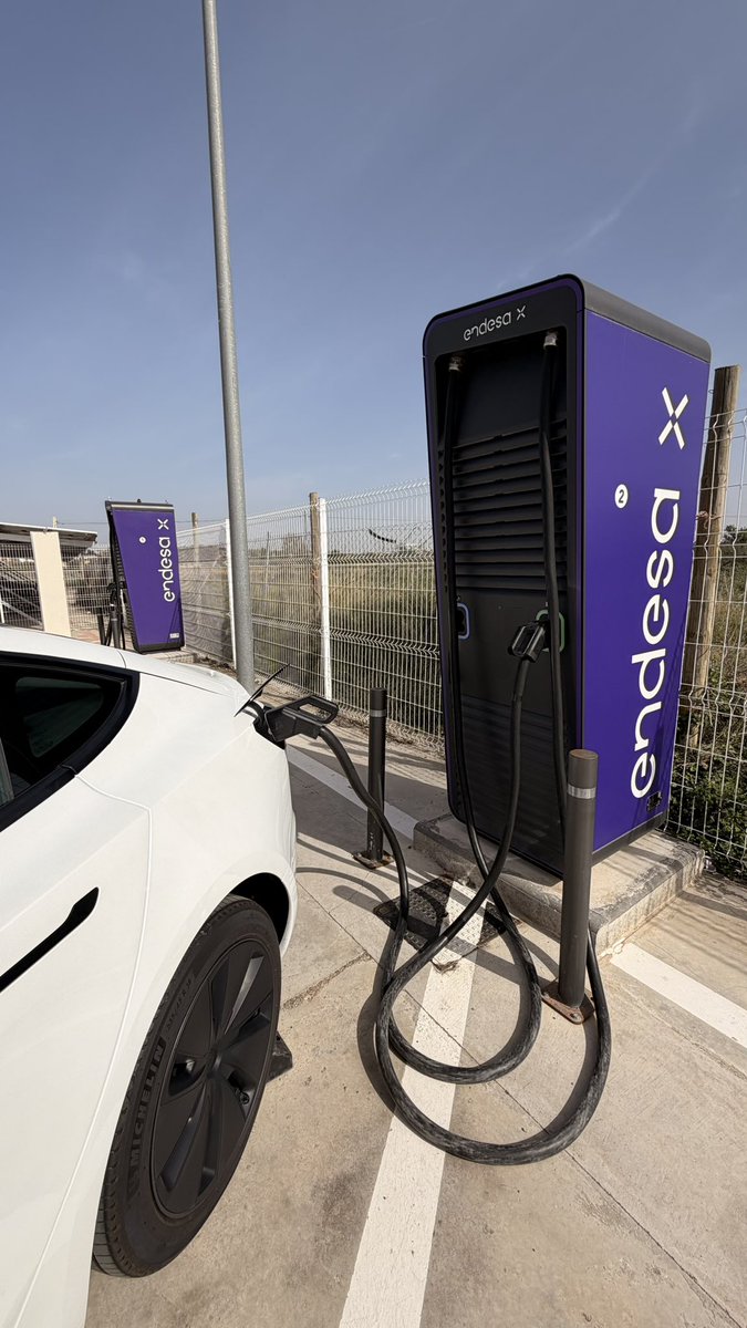 Arnau Font tweet media