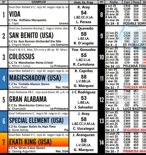 ILUMINADO HIPICO tweet media