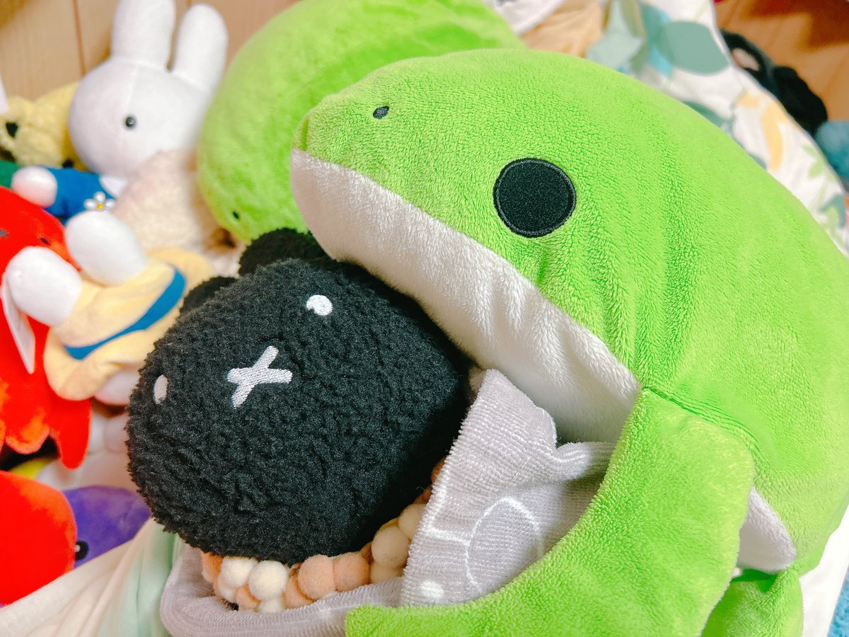 ロック(シロガネロック) tweet media