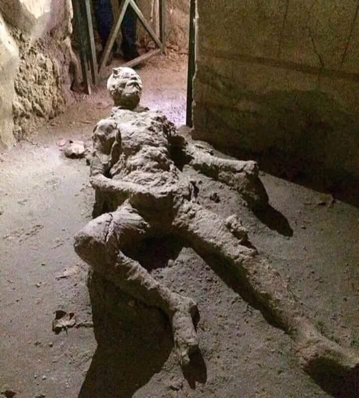 Mediavrai tweet media