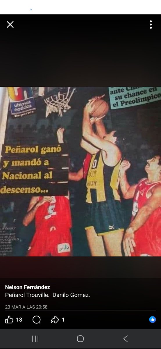 Bolso Gallina Nacional tweet media