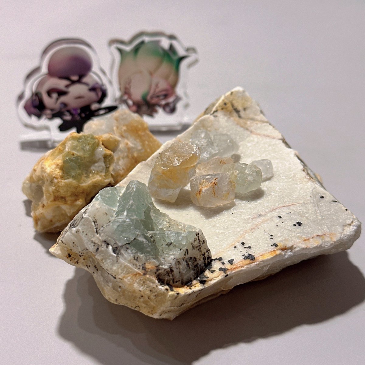 うきうき🚀東７P19b tweet media