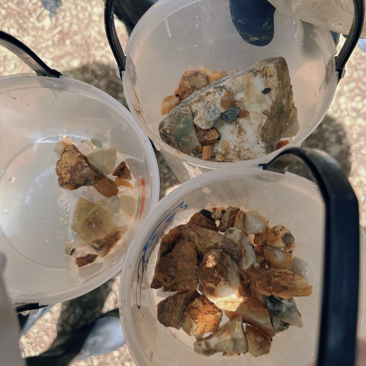 うきうき🚀東７P19b tweet media