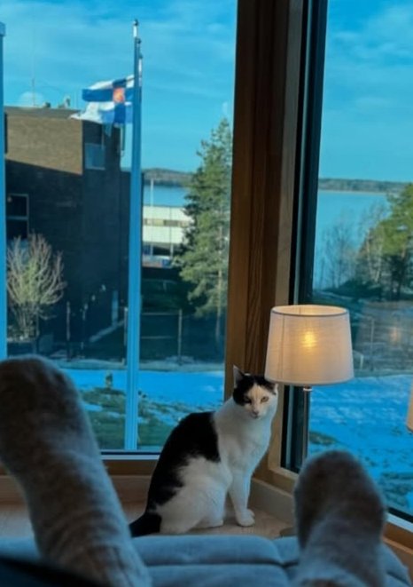 🇨🇦 Nico Carney, Purr Minister of Canada tweet media