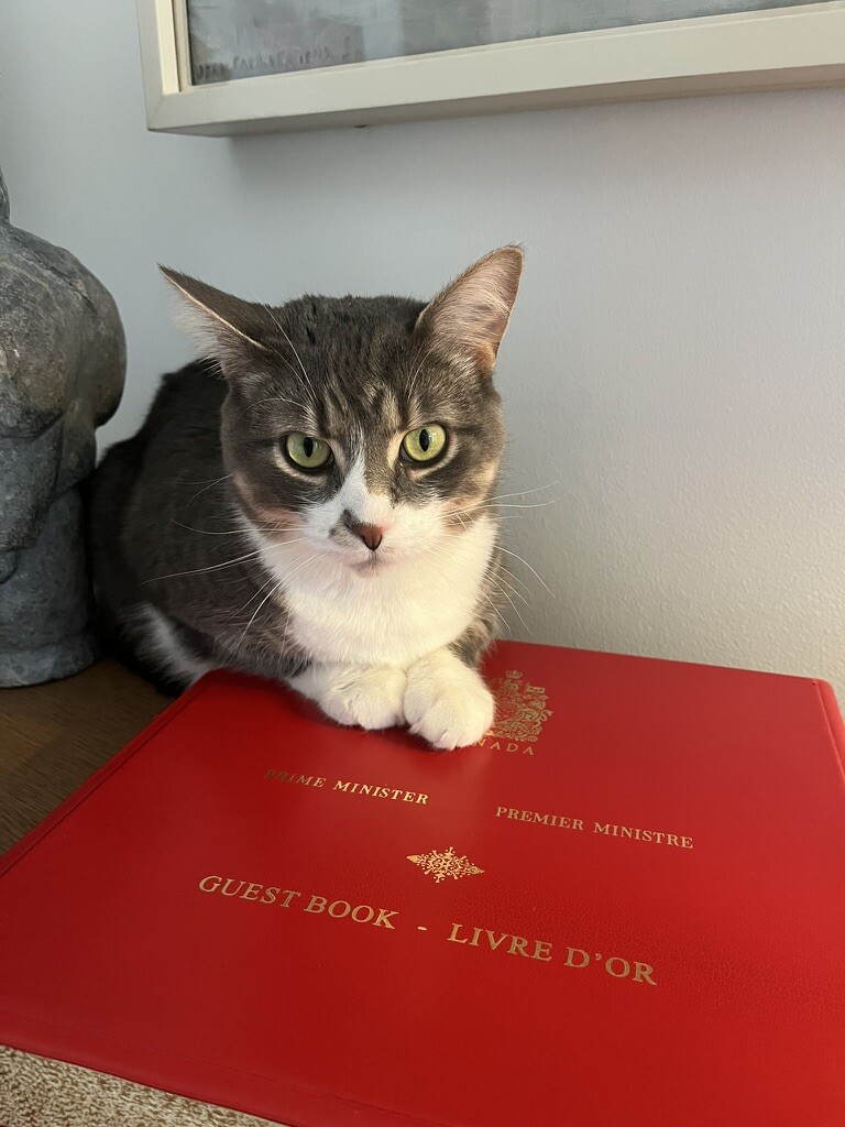 🇨🇦 Nico Carney, Purr Minister of Canada tweet media
