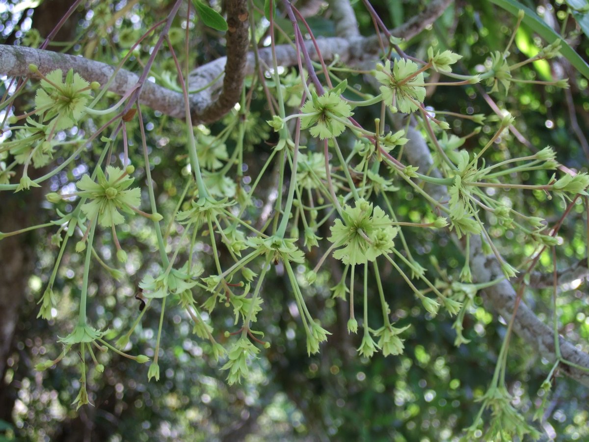 Tomoki SANDO tweet media