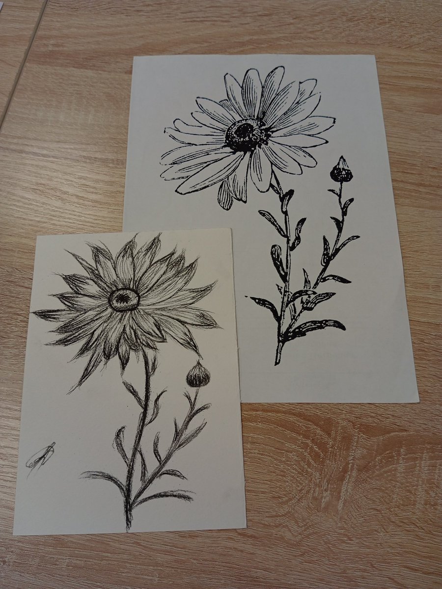 rspbrrsk tweet media