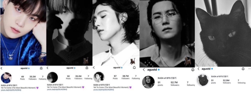 •💜ʀᴏsᴇ⁷🥃🥢ᓚᕠᗢ• tweet media