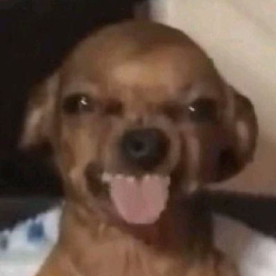 Korede kimmich 🍫🪖🪖 tweet media