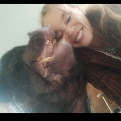 Travestiet des Moederlands (Lulu) tweet media