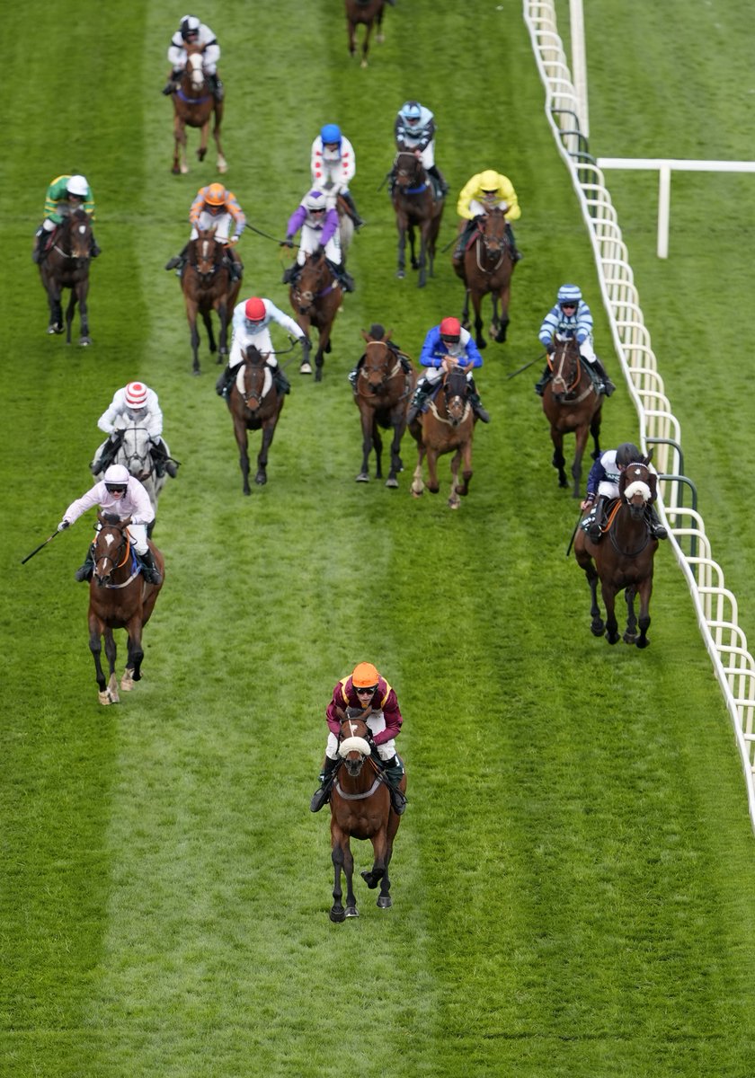 At The Races tweet media