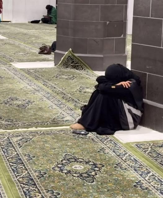 lobaba assaf tweet media