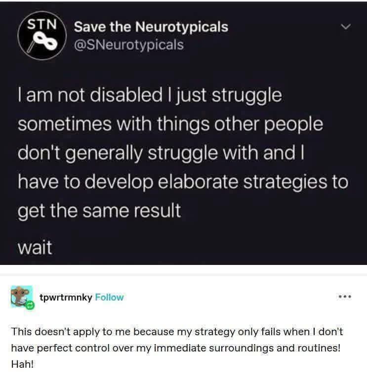 No Nonsense Neurodivergent tweet media