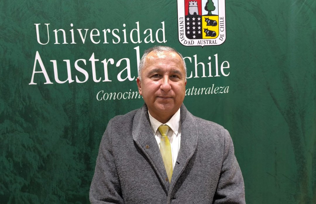 Pachi⚡ tweet media