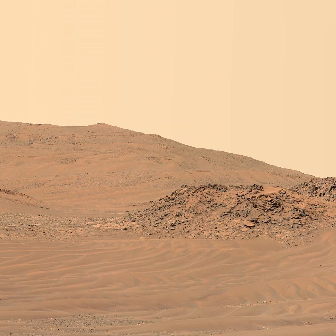 Curiosity tweet media