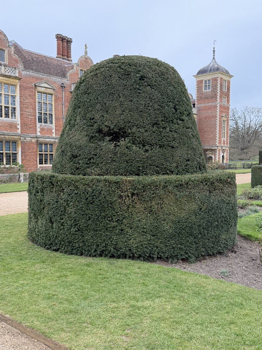 A case that never sat right with me