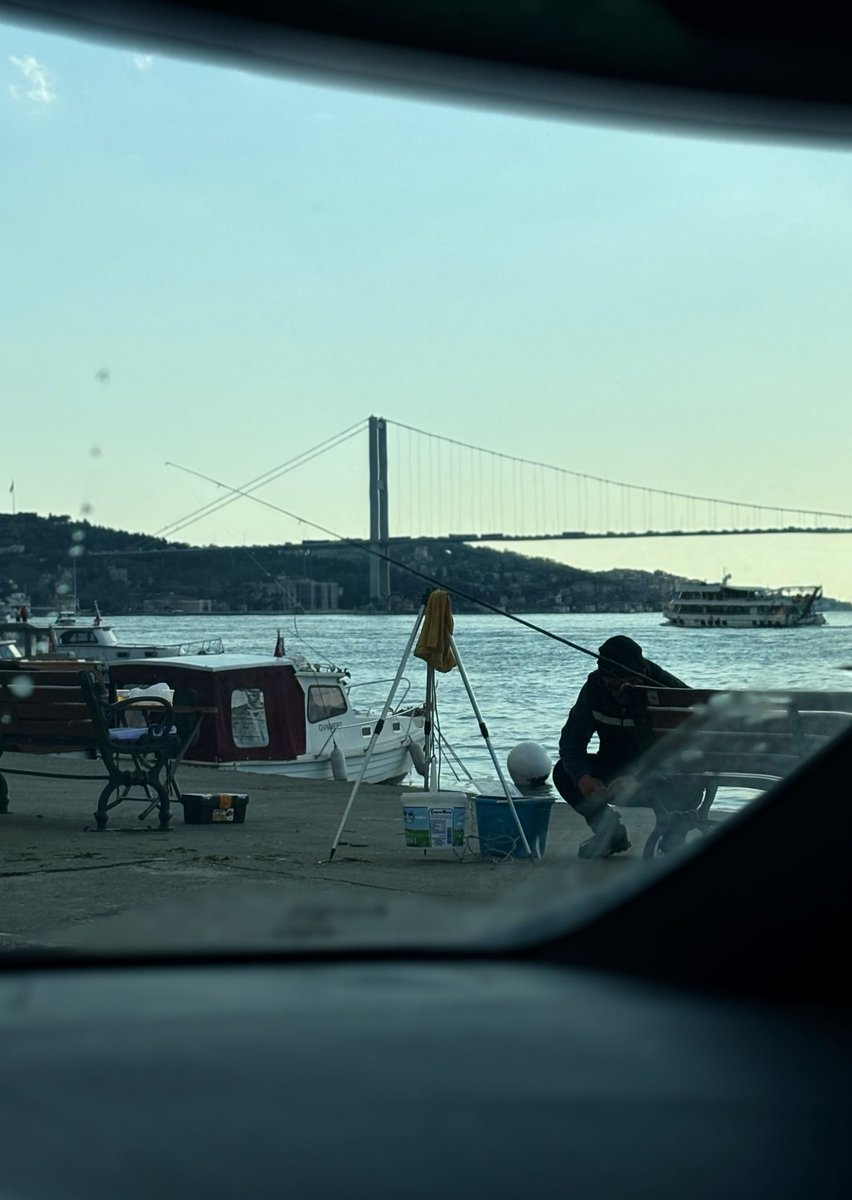 véronique tweet media