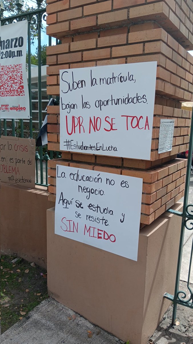 Rafael Bernabe tweet media