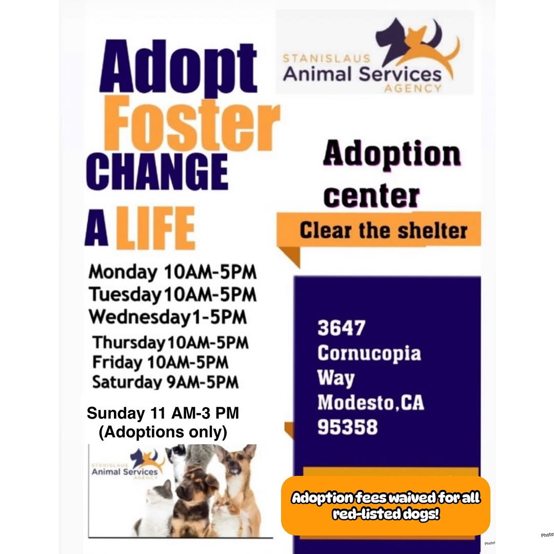 8415_n's tweet photo. 2/4
It's #Stanislaus "kill 10% of #dogs = no-kill" weekend once again in #ModestoCA #NorCal
Ways to save:
➡️#RESCUE (please tag them across #socialmedia ‼
➡️#FOSTER at NO COST for a rescue‼
➡️#ADOPT anywhere 🇺🇲🇨🇦 if you can cover for transportation‼
https://t.co/Bk6M552sns https://t.co/ahzgXTui2K