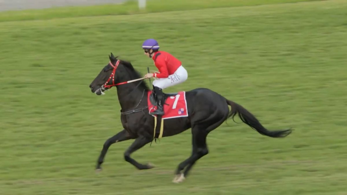 rebelsart's tweet image. 🇫🇷 Mickaëlle Michel🇯🇵@MickaelleMichel and Greenlight Racer in the Handicap race 9 on Thursday at Turffontein, South Africa‼️🏇🇿🇦
Trainer Joe Soma
💥Never Give Up!💥
#NeverGiveUp #WorkHard #MickaelleMichel
M.ミシェル #ミカエルミシェル
💪👊🌪️🥰
@FredericSpanu @noriri4 @ma_ouma1