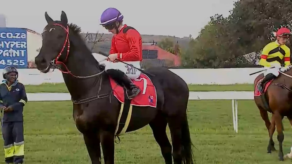 rebelsart's tweet image. 🇫🇷 Mickaëlle Michel🇯🇵@MickaelleMichel and Greenlight Racer in the Handicap race 9 on Thursday at Turffontein, South Africa‼️🏇🇿🇦
Trainer Joe Soma
💥Never Give Up!💥
#NeverGiveUp #WorkHard #MickaelleMichel
M.ミシェル #ミカエルミシェル
💪👊🌪️🥰
@FredericSpanu @noriri4 @ma_ouma1
