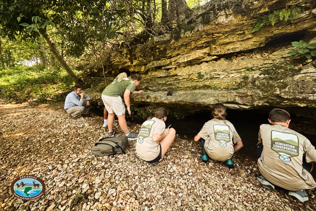 Arkansas students, teachers and administrators are invited to apply for AGFC's conservation leadership opportunities! 
Teacher Leader Council: bit.ly/41WWiwk
Student Leader Council: bit.ly/41Rdt2n
Administrators of Conservation Education: bit.ly/4mbxKsQ