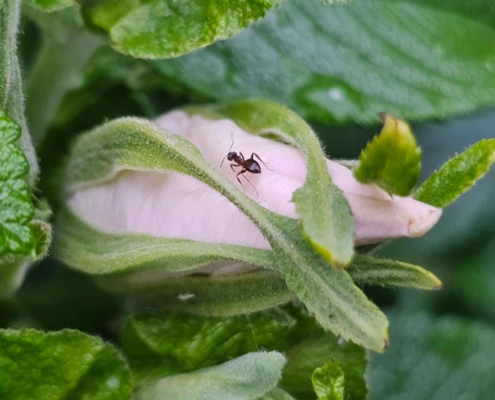 Clara 🕊️ tweet media