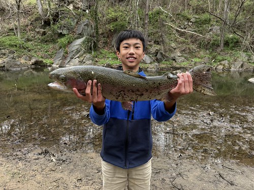 MDangler tweet media