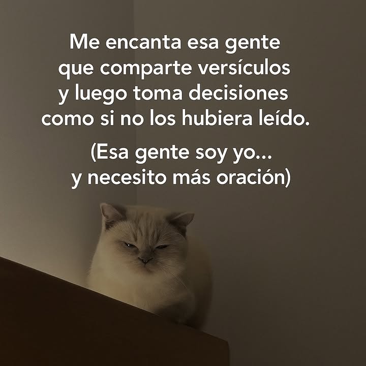 memes cristianos (@post_cristiano) on Twitter photo 