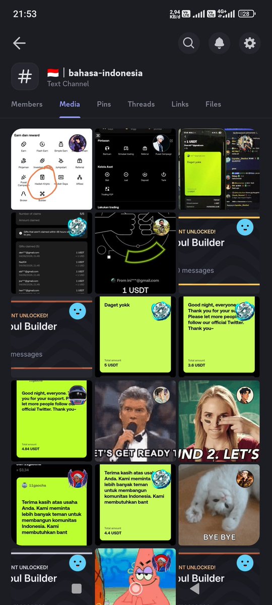 Owl Effect tweet media