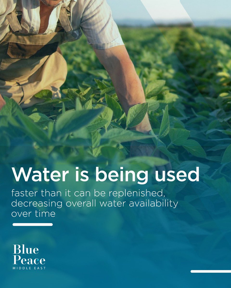 Blue Peace Middle East tweet media