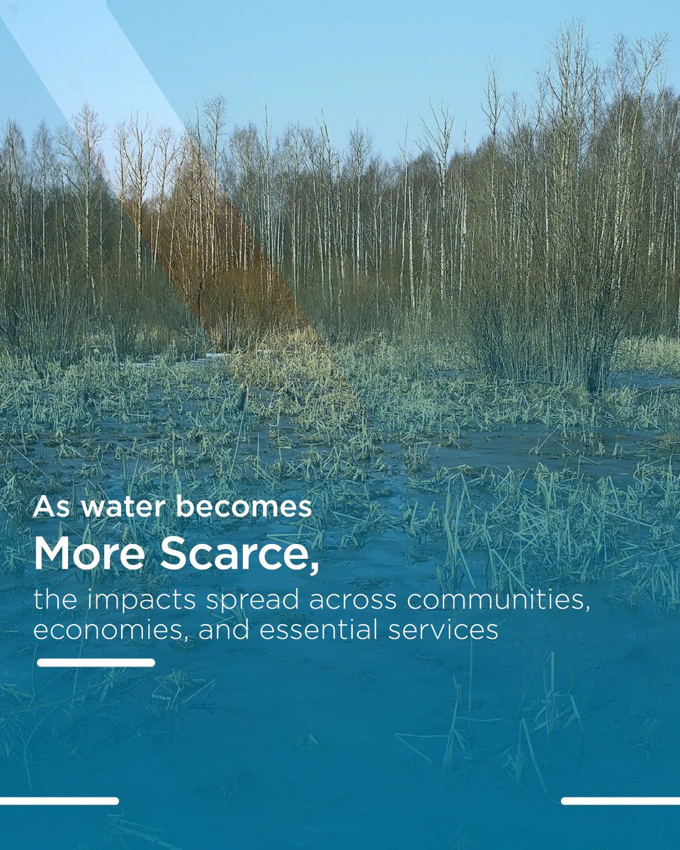 Blue Peace Middle East tweet media