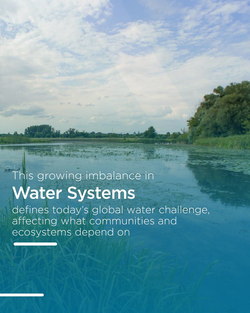 Blue Peace Middle East tweet media