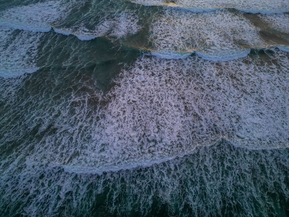 Long Beach Lodge tweet media